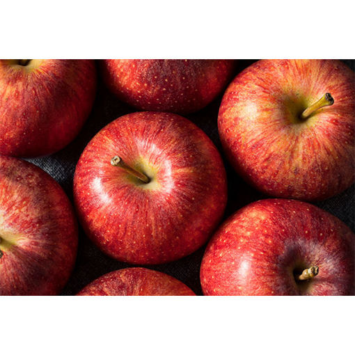 Picture of APPLES GALA ORG