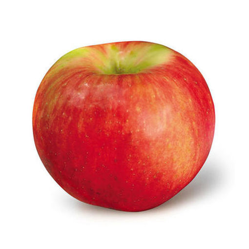 Picture of APPLES SUNRISE BC
