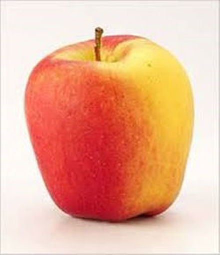 Picture of APPLES AMBROSIA ORG