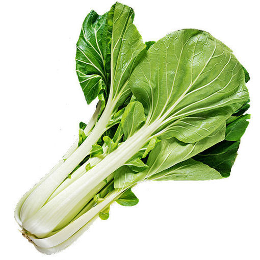 Picture of BOK CHOY BABY BC