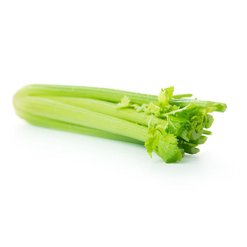 Picture of CELERY - juicing