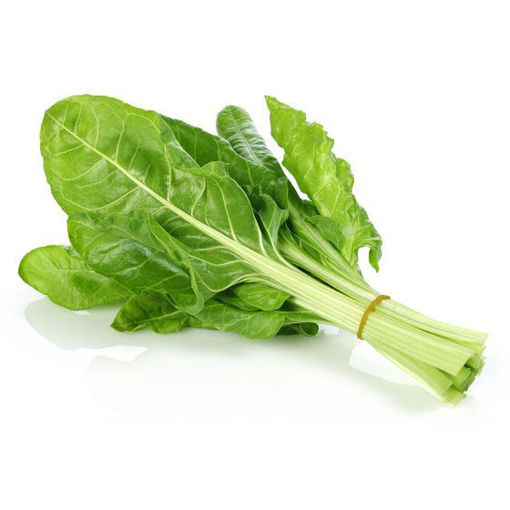 Picture of CHARD GREEN