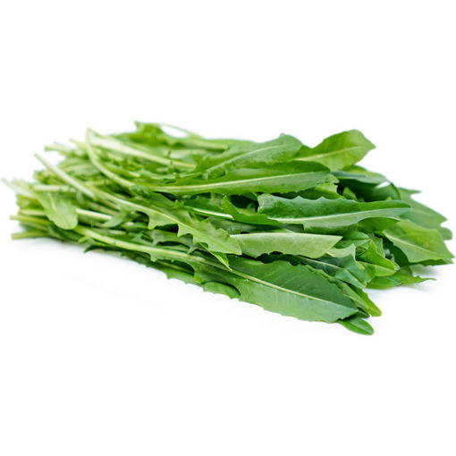 Picture of DANDELION