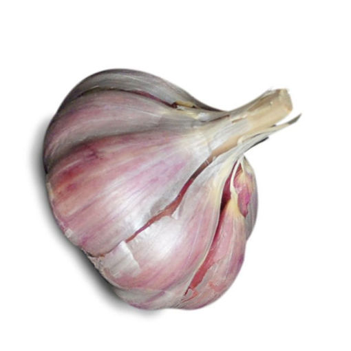 Picture of WHITE GARLIC