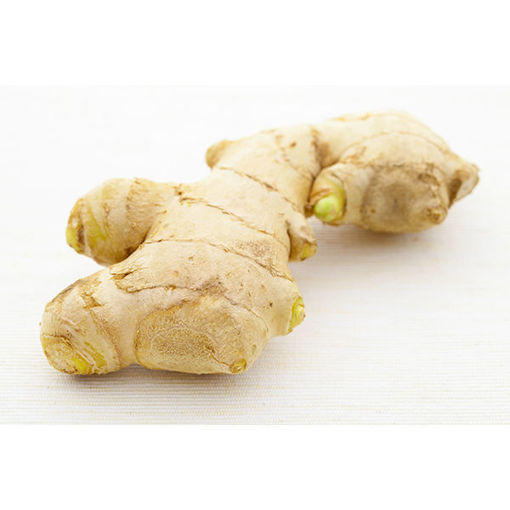 Picture of GINGER ROOT ORGANIC