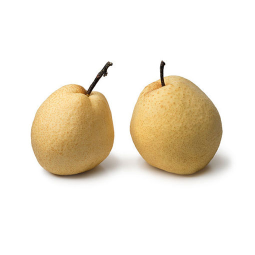 Picture of PEARS ASIAN FCY BC