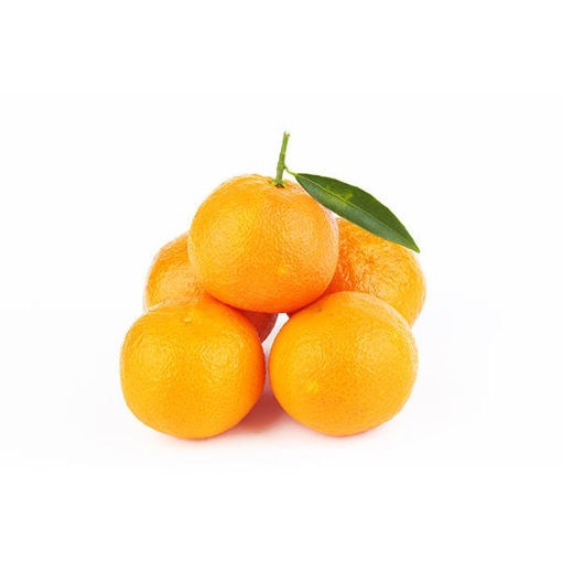 Picture of ORANGES VALENCIA  FCY CA