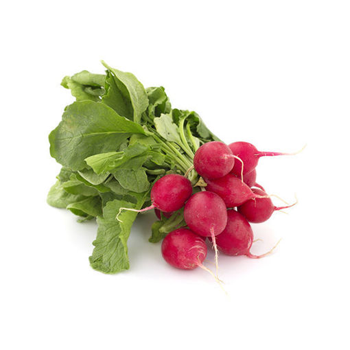 Picture of RADISH Bulk