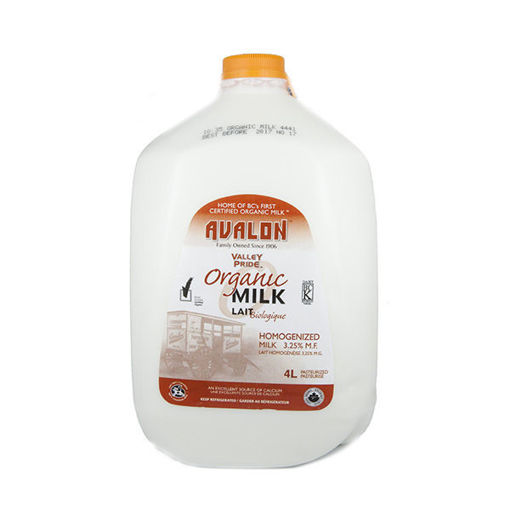 Picture of HOMO MILK 4 L JUG