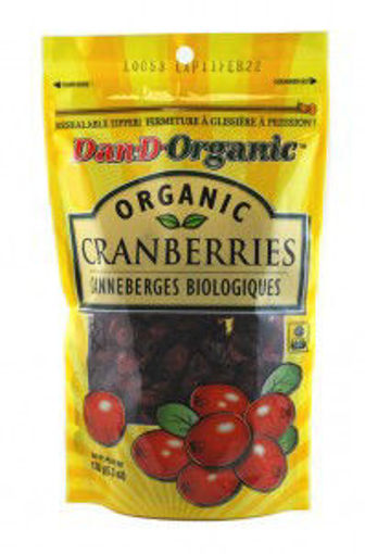 Picture of CRANBERRIES DRIED