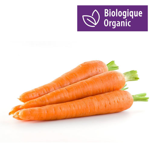 Picture of CARROTS Bunch