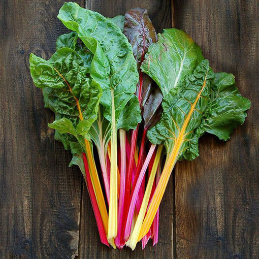 Picture of CHARD RAINBOW