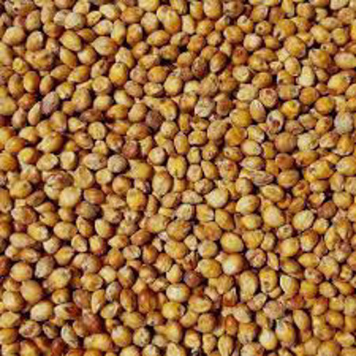 Picture of Organic Sorghum Seed 400g