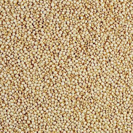 Picture of WHITE QUIONA