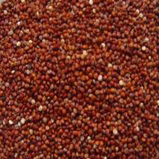 Picture of RED QUIONA