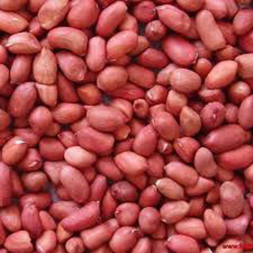 Picture of ORGANIC RED SKIN PEANUTS